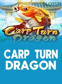 Carp Turn Dragon game cover